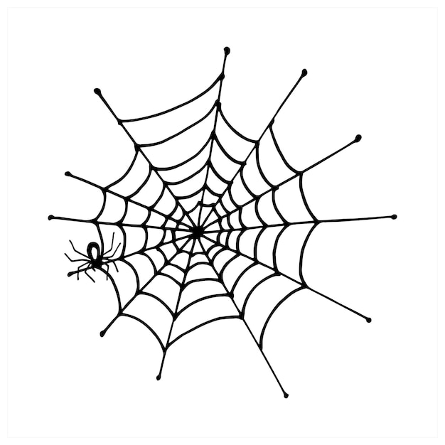 Spiderweb. Vector, isolated on white background. Black and white.