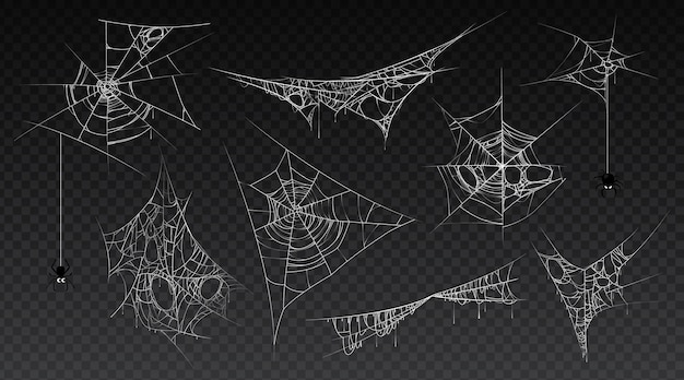 Spiderweb with hanging spider insect isolated set of cobwebs old and scary dark and vintage