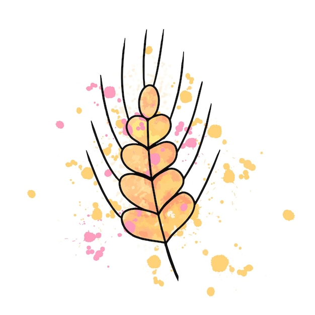 Spikelet watercolor digital tracing illustration