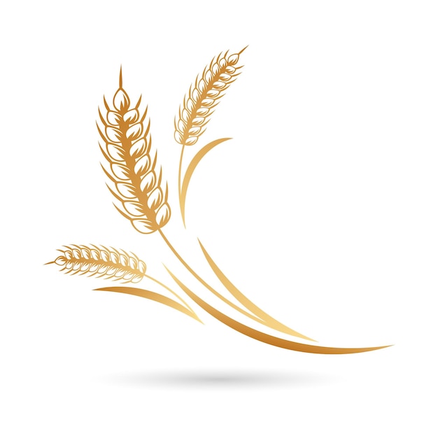 Spikelets of wheat, rye, barley. Golden icon, elegant design, vector