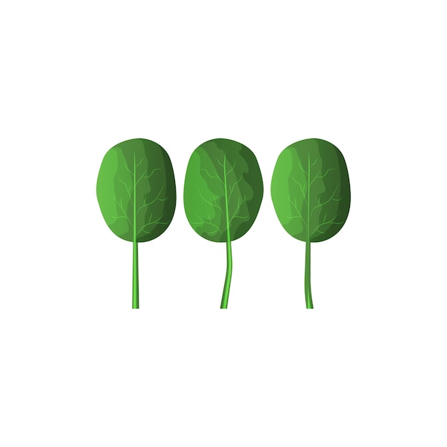 Spinach icon in trendy flat style isolated on white background for your web site design