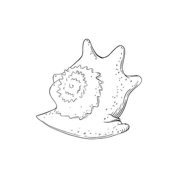 Spiral seashell isolated in white background Marine shell sketch Outline vector illustration