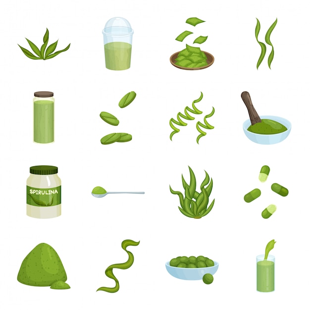 Spirulina cartoon icon set