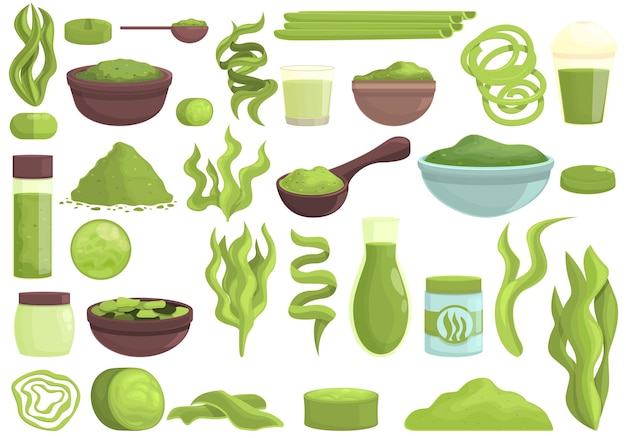 Spirulina icons set cartoon vector. Plant seaweed. Aqua algae