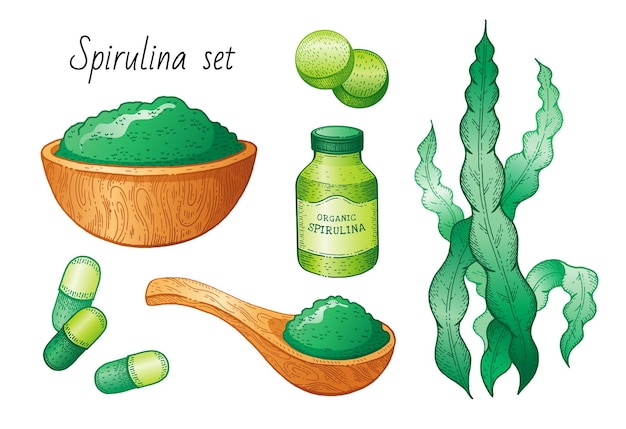 Spirulina seaweed set.