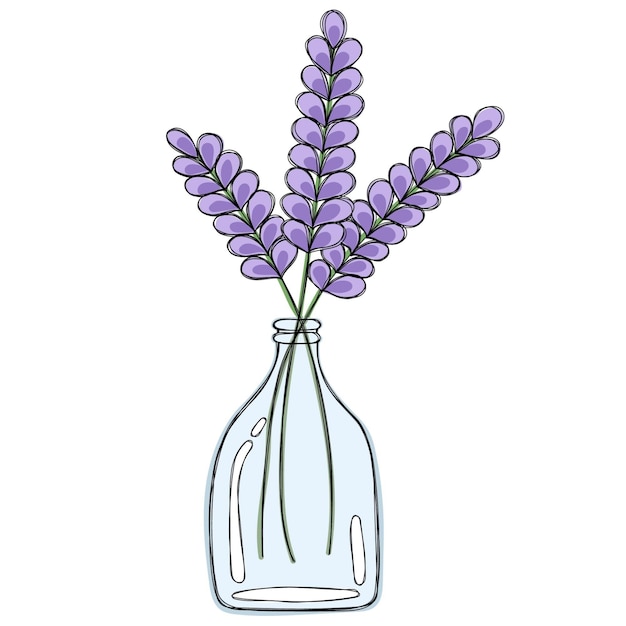 Vector a sprig of lavender in a glass bottle