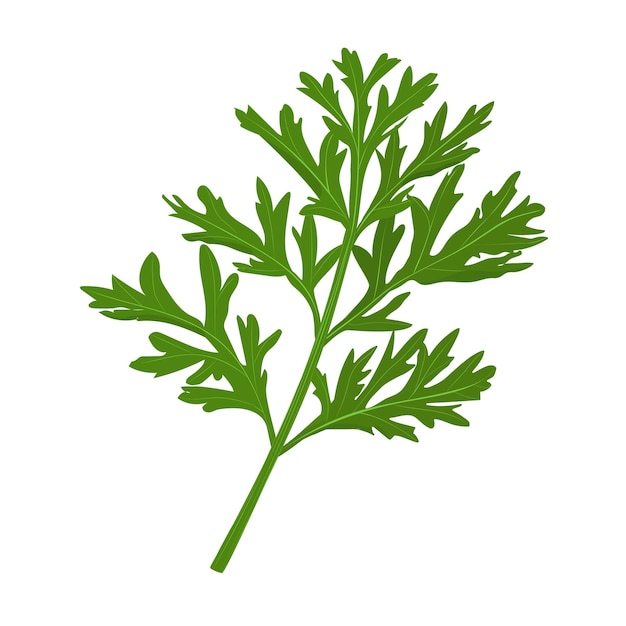 A sprig of a medicinal plant wormwood Vector illustration isolated in cartoon style