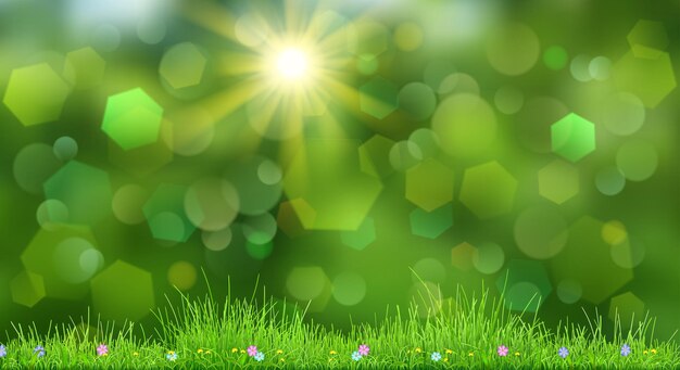 Vector spring background in green colors with sky sun grass and flowers