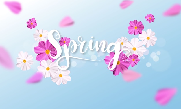 Spring background with beautiful pink and white flower