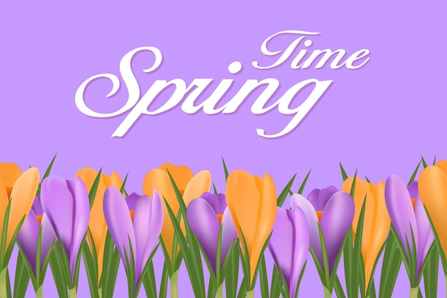 Spring background with blooming spring flowers crocuses Vector illustration