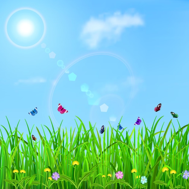 Spring background with sky, sun, grass, flowers and butterflies