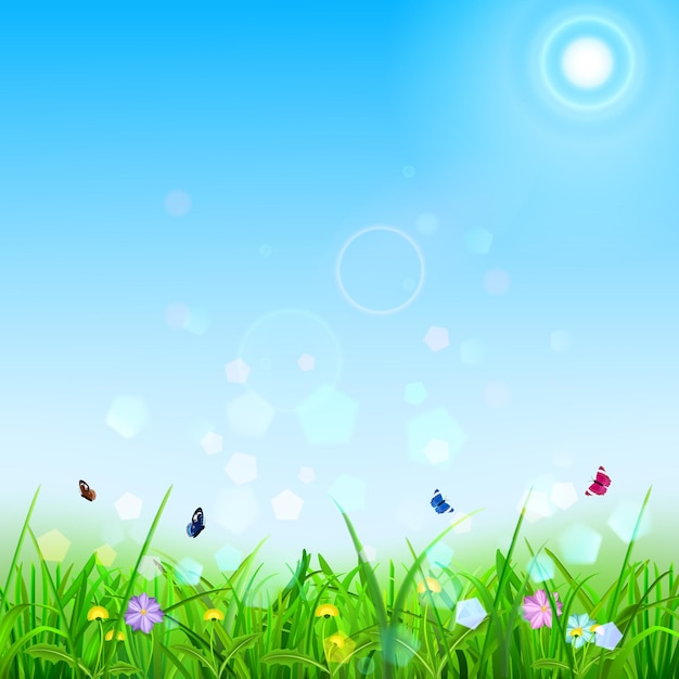 Spring background with sky, sun, grass, flowers and butterflies