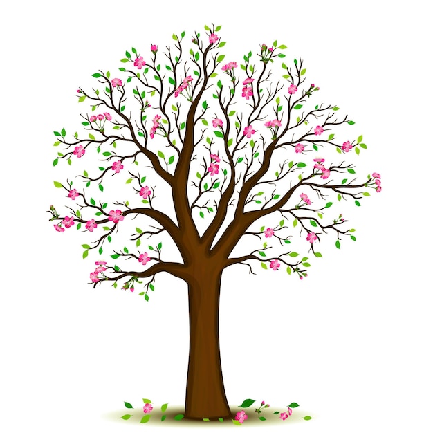 Spring blossoming tree vector