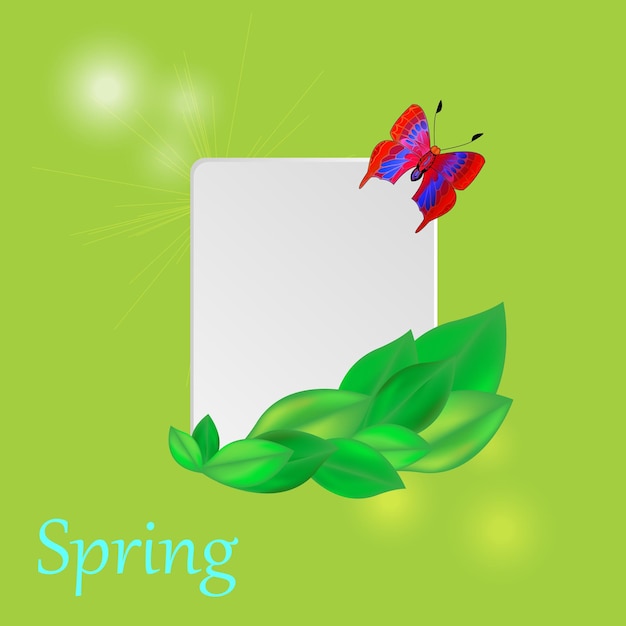 Spring card and beautiful butterfly with green leaves.