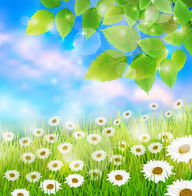 Vector spring field meadow background with fresh leaves