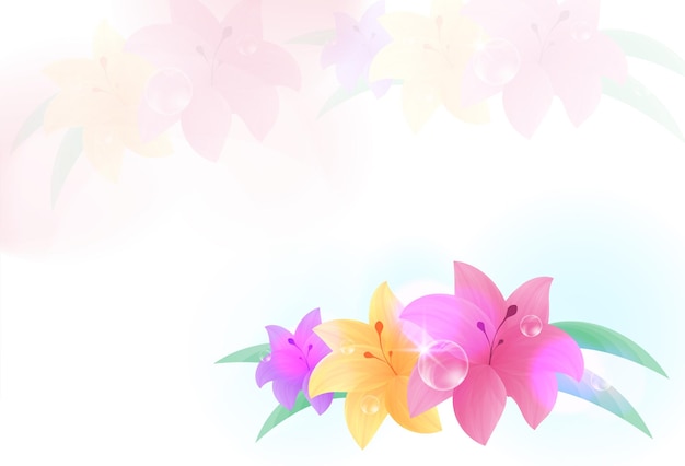 Spring floral colorful flowers background Vector illustration design