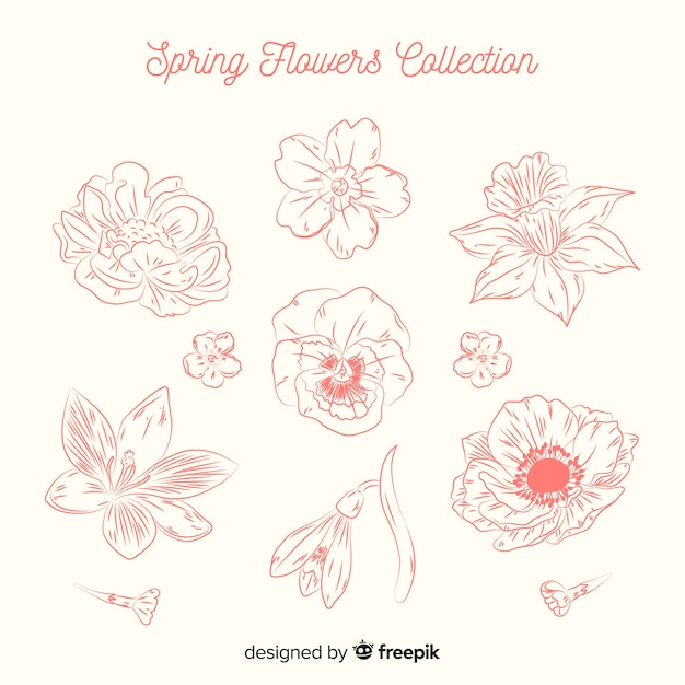 Spring flower collection