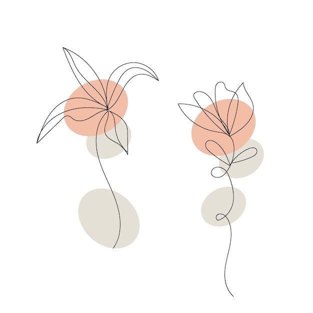 spring flower and leaves line art collection