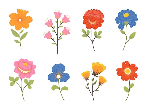 Spring flowers isolated on a white background. Vector illustration.