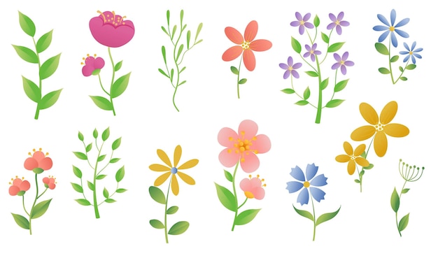 Spring Flowers Set With White Background