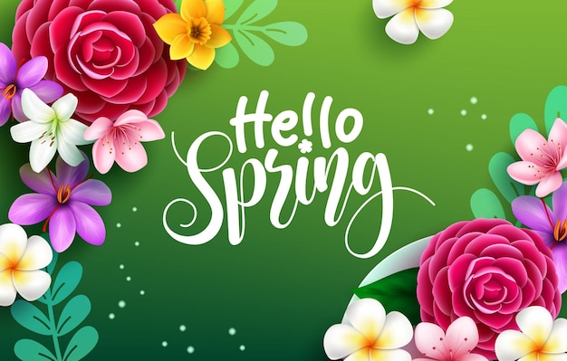 Spring flowers vector background design Hello spring greeting text in green space with camellia