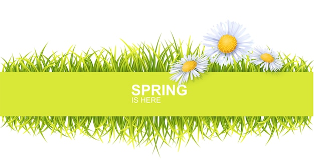 Spring Horizontal Banner