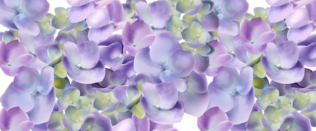 Spring hydrangea flowers watercolor background