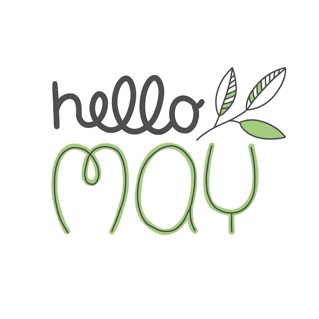 Spring lettering Hello MAY with plant leaves Vector for greeting new month typographic design