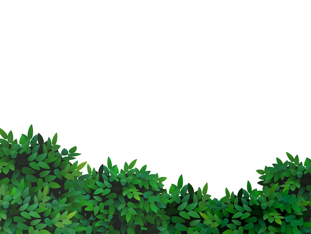 Spring nature background with green bush leaves