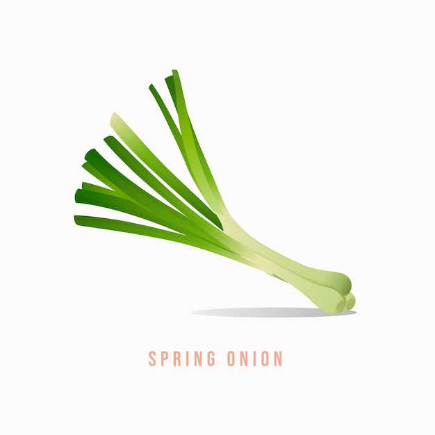 Spring onion Modern style vector illustration