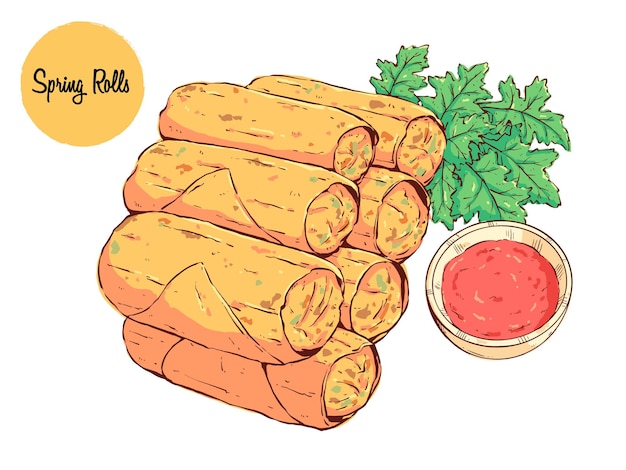 Spring rolls with sauce and parsley.  Tasty chinese or asian food vector