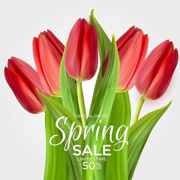 Spring Sale Template   with realistic Red Tulip Flower.