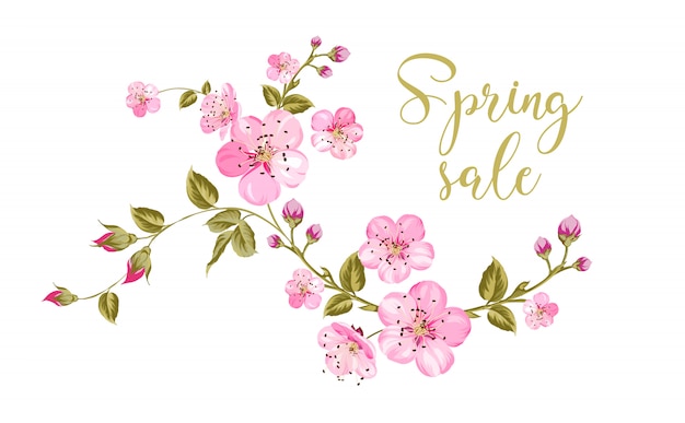 Spring sale text over white background with sakura flower brunch.