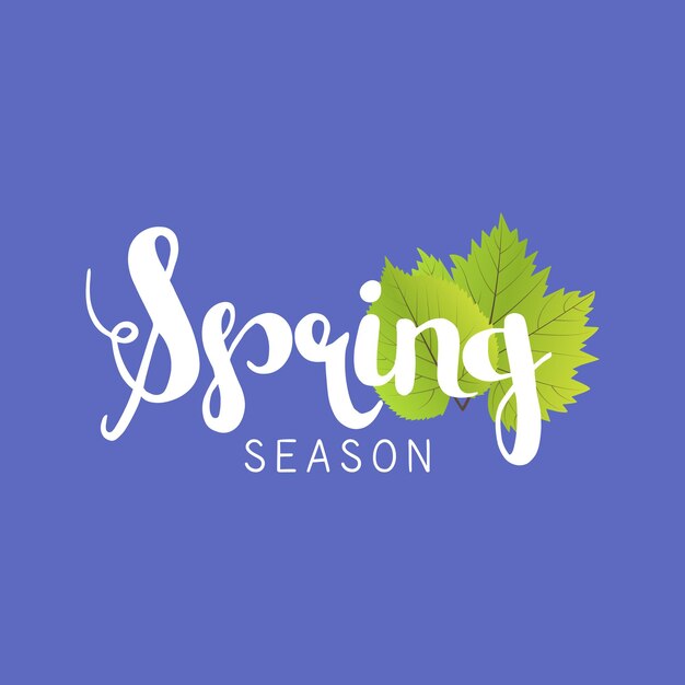 Spring season letter and green leaves vector illustration. Blue background