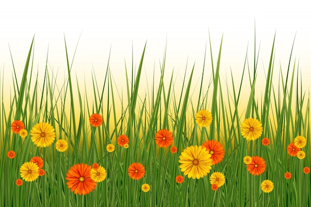 Spring or summer background, sunny day with flowers and grass, illustration. Easter decoration element with spring grass and meadow flowers