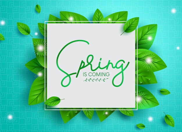 Spring text vector template design. Spring is coming typography in empty frame space with fresh