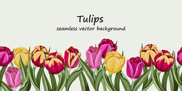 Spring tulip border and horizontal seamless pattern Floral vector background