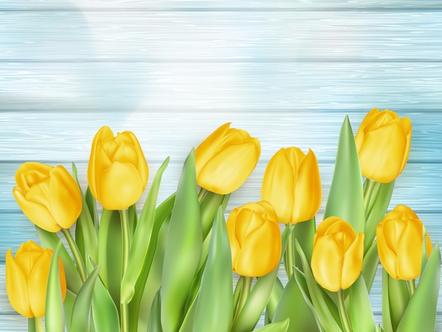 Spring tulips on wooden background.