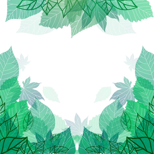 Spring vector card with doodle and green leaves for postcard flyers brochures and your business