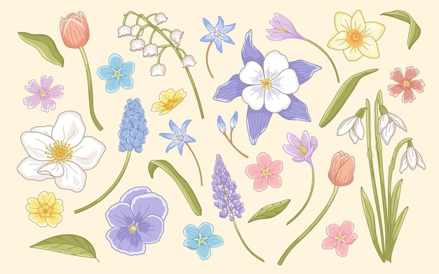 Springtime Flower Illustrations