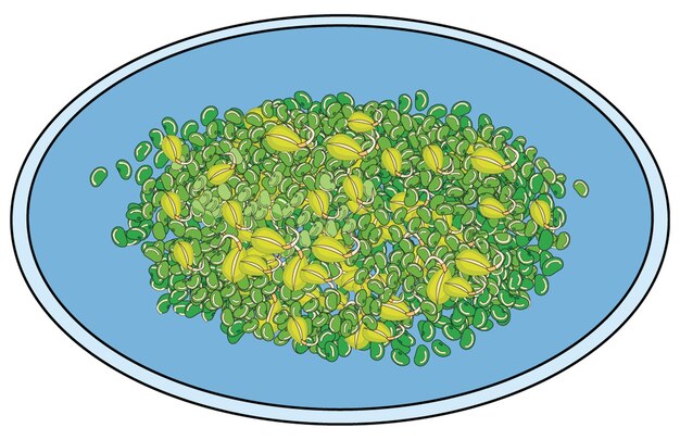 Vector sprouted green moongs in a plate