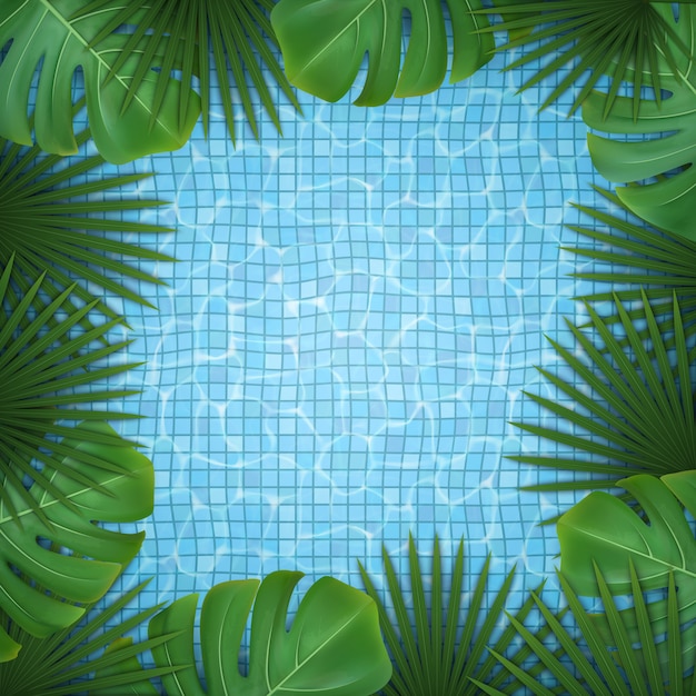 Square background with green tropical leaves of palm and monstera and pool water. 