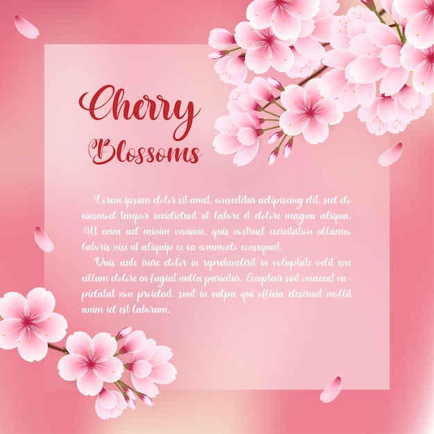 Square cherry blossom template greeting card background