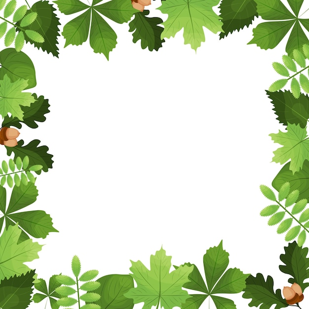 square empty frame with green leaves vector