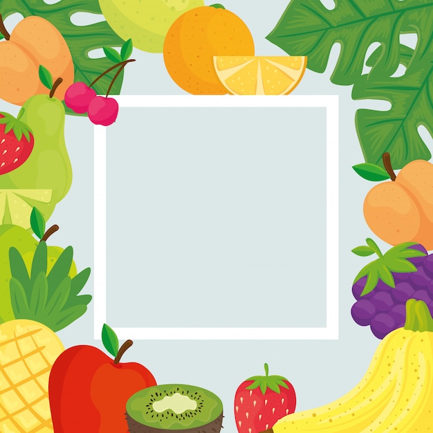 Square frame with tropical fresh fruits