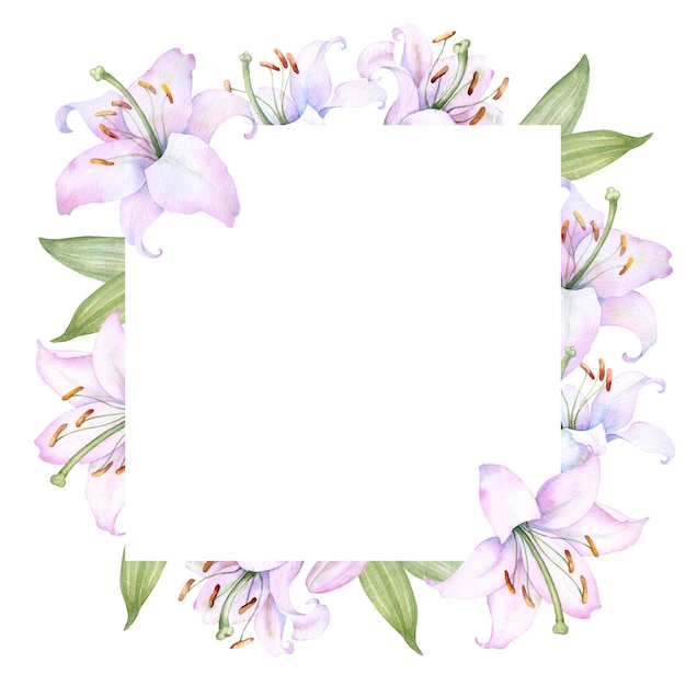 Square l frame with white and pink lily flowers watercolor illustration