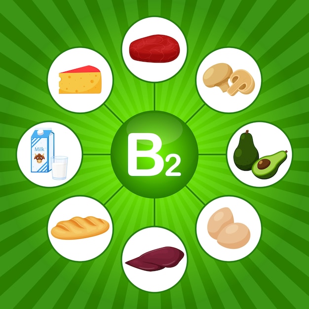 A square poster with food products containing vitamin B2 Riboflavin Medicine diet healthy eating infographics Flat cartoon food elements on a bright green background with sunbeam