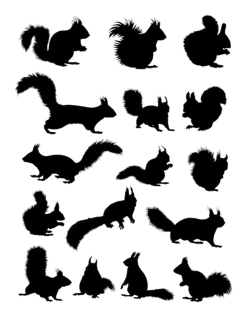 Squirrel animal silhouette