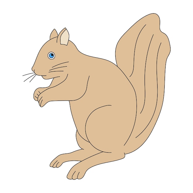 Squirrel Clipart Cartoon Wild Animals Clipart Set for Lovers of Wildlife