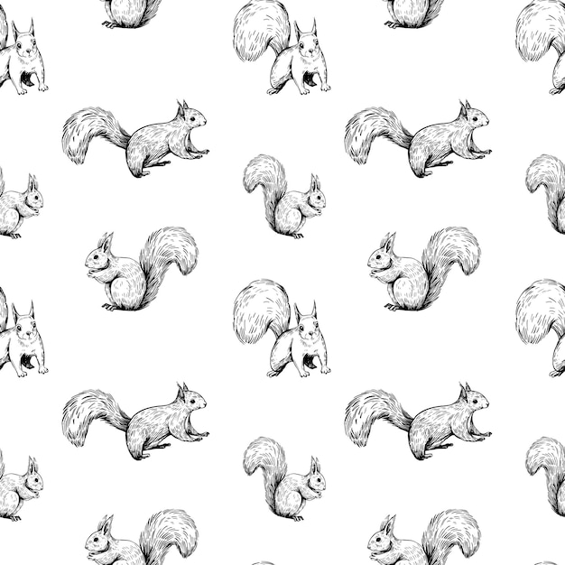 Squirrel illustrations seamless patten design hand drawn vector sketch